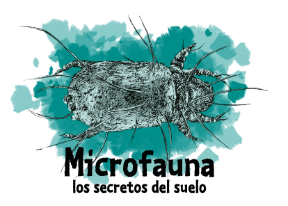 Microfauna: Los secretos del suelo